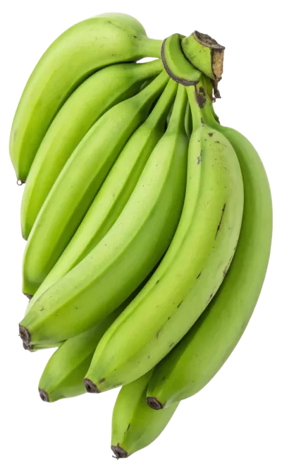 Imagen PNG para descargar